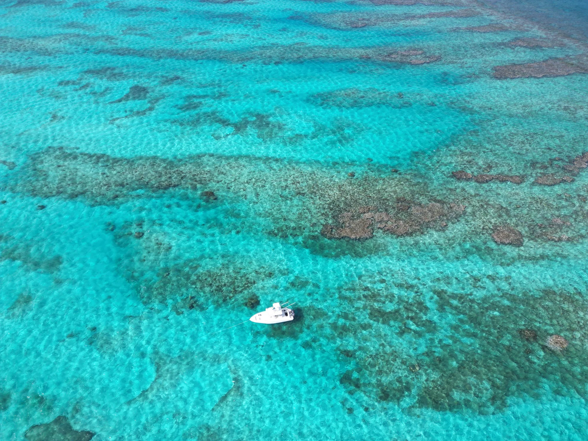 Turquoise reefs of the Turks and Caicos Islands