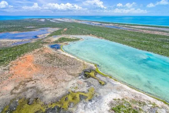 Remote shoreline