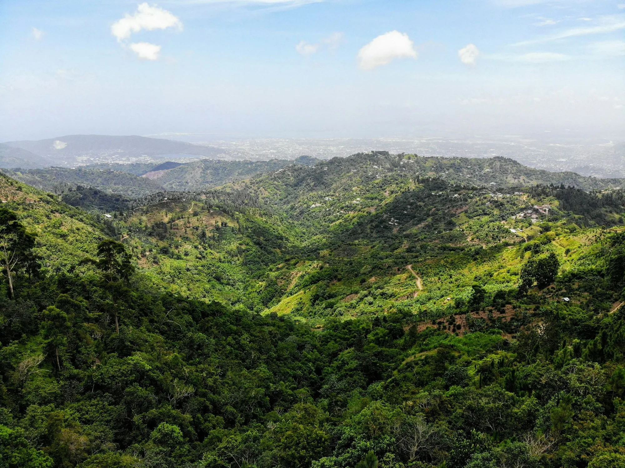 Jamaica view
